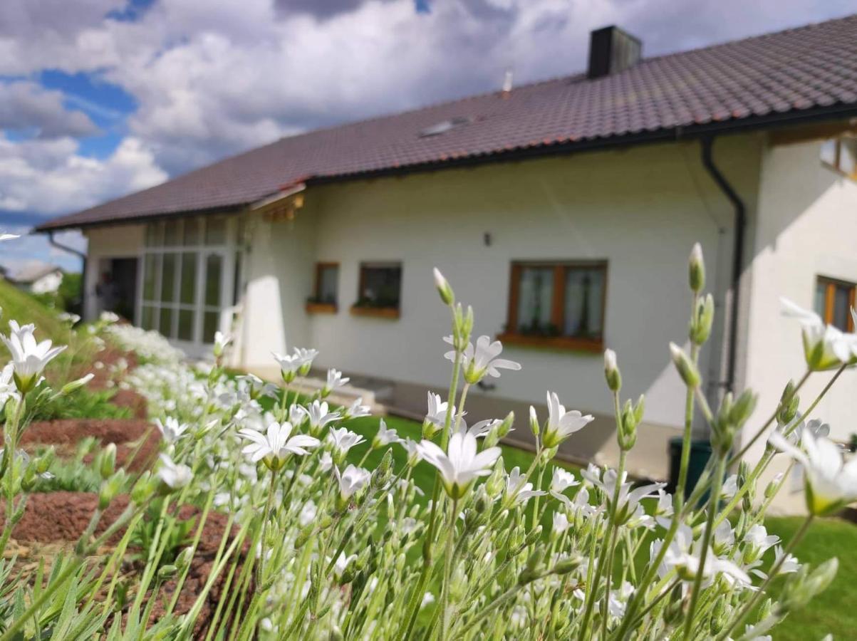 Edelstein Ferienwohnung Philippsreut Extérieur photo